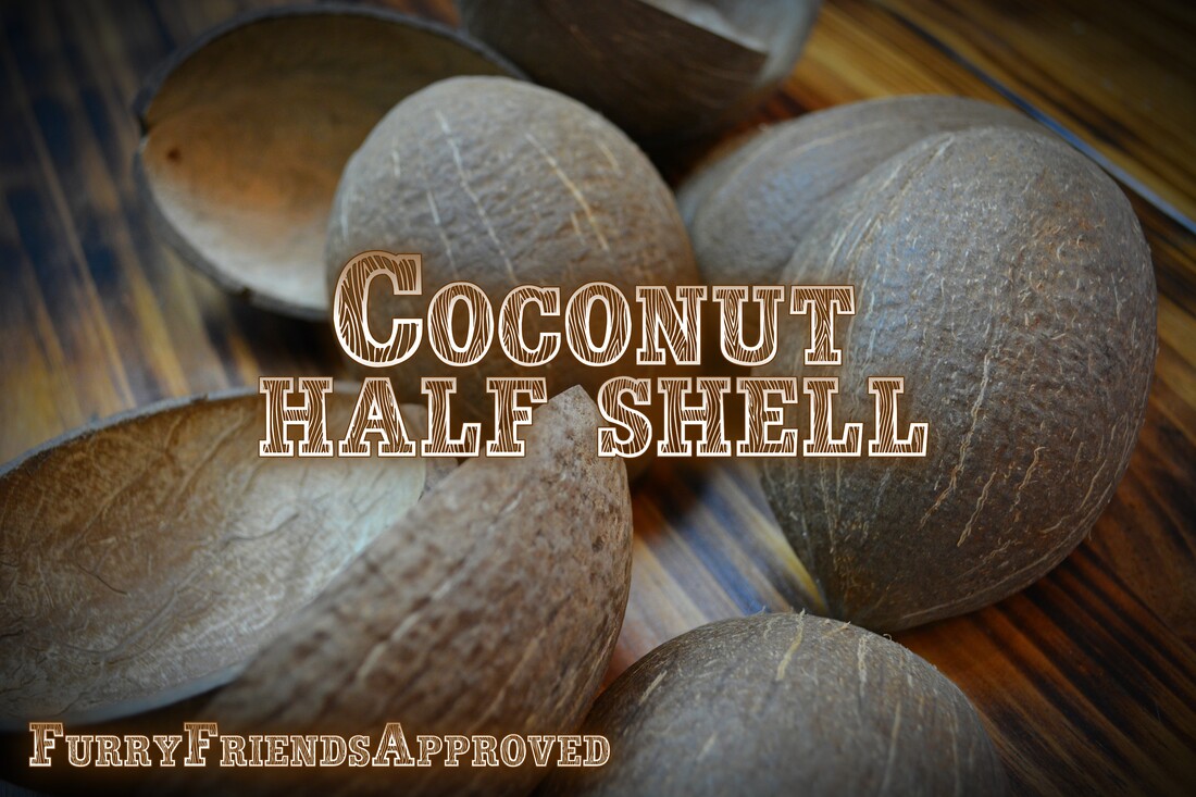 Coconut Half Shell